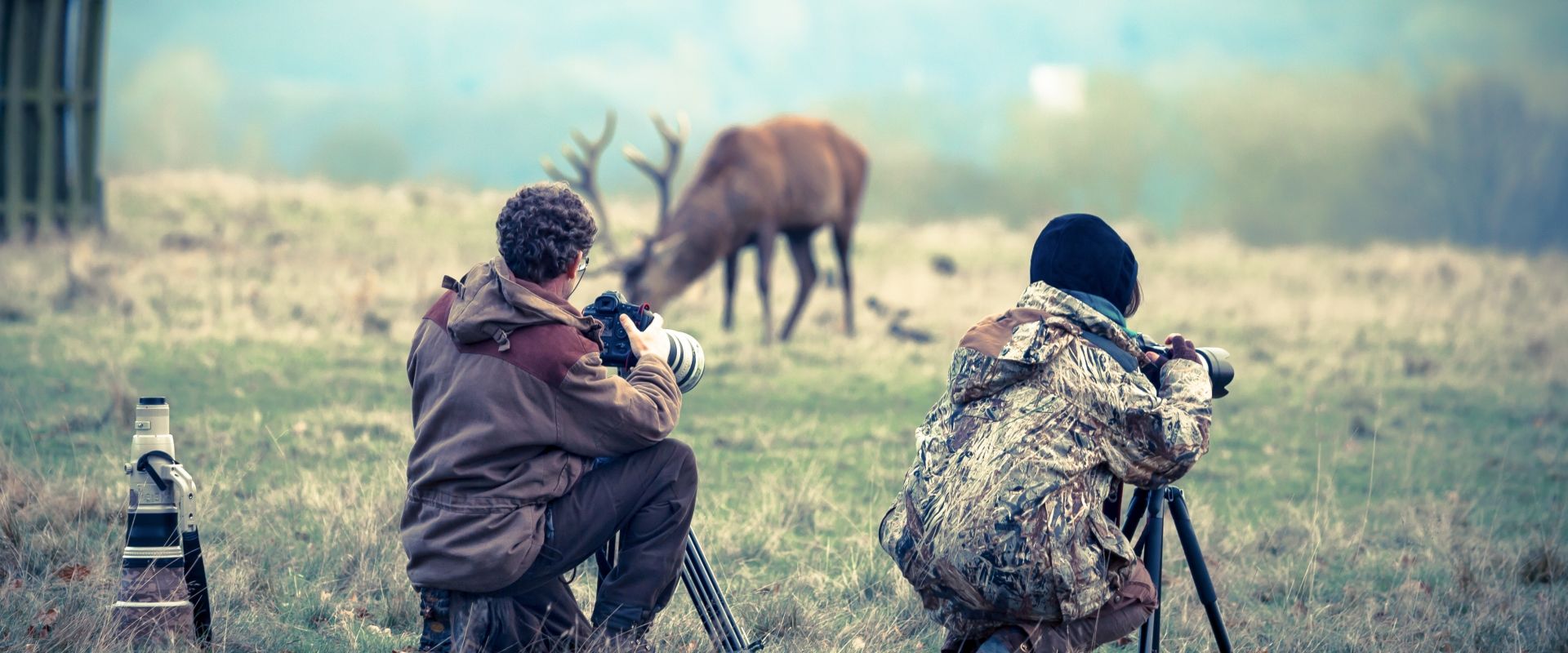 Exclusieve bezoeken: Fotosafari in het Wildpark ~ Grottes de Han