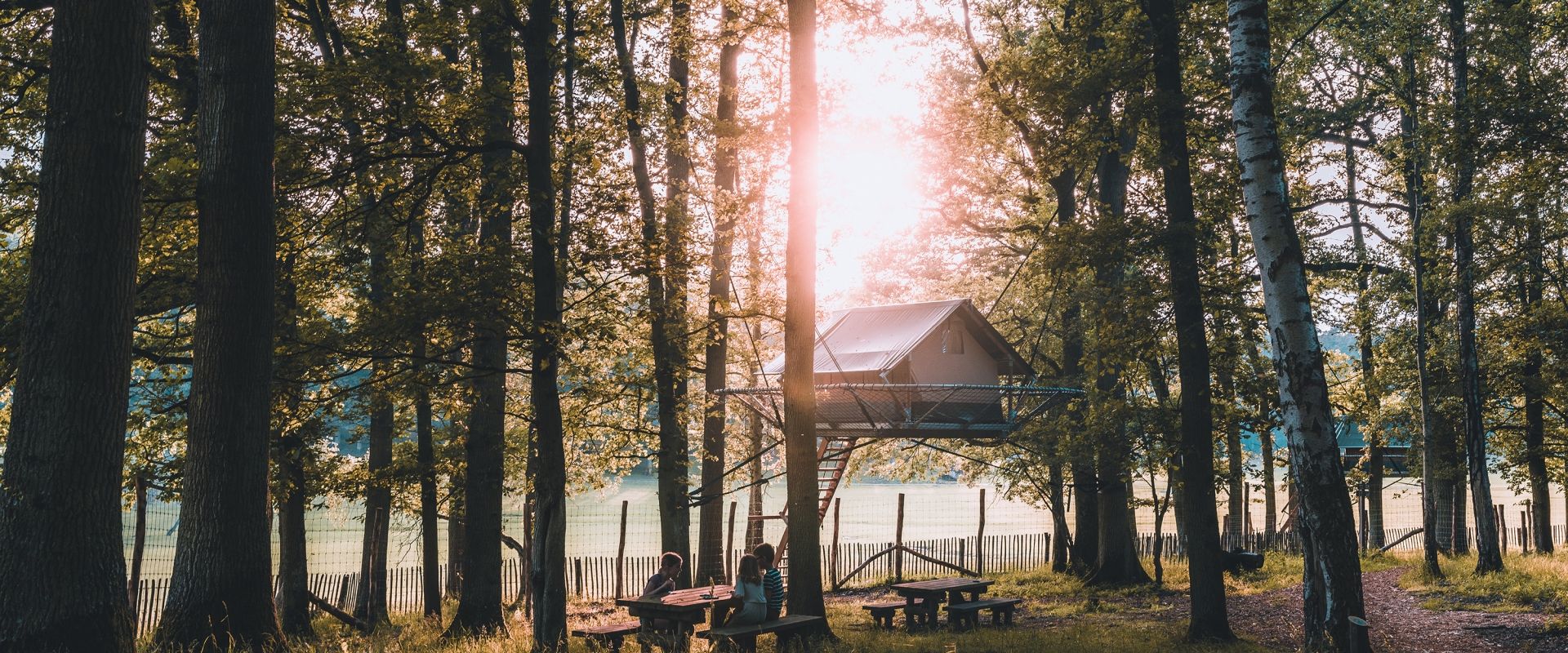 Insolite : entre camping et parc animalier, le Domaine de la