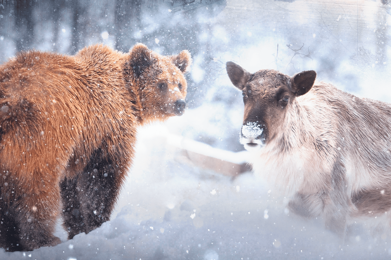 activité à faire en famille pendant les vacances, hiver