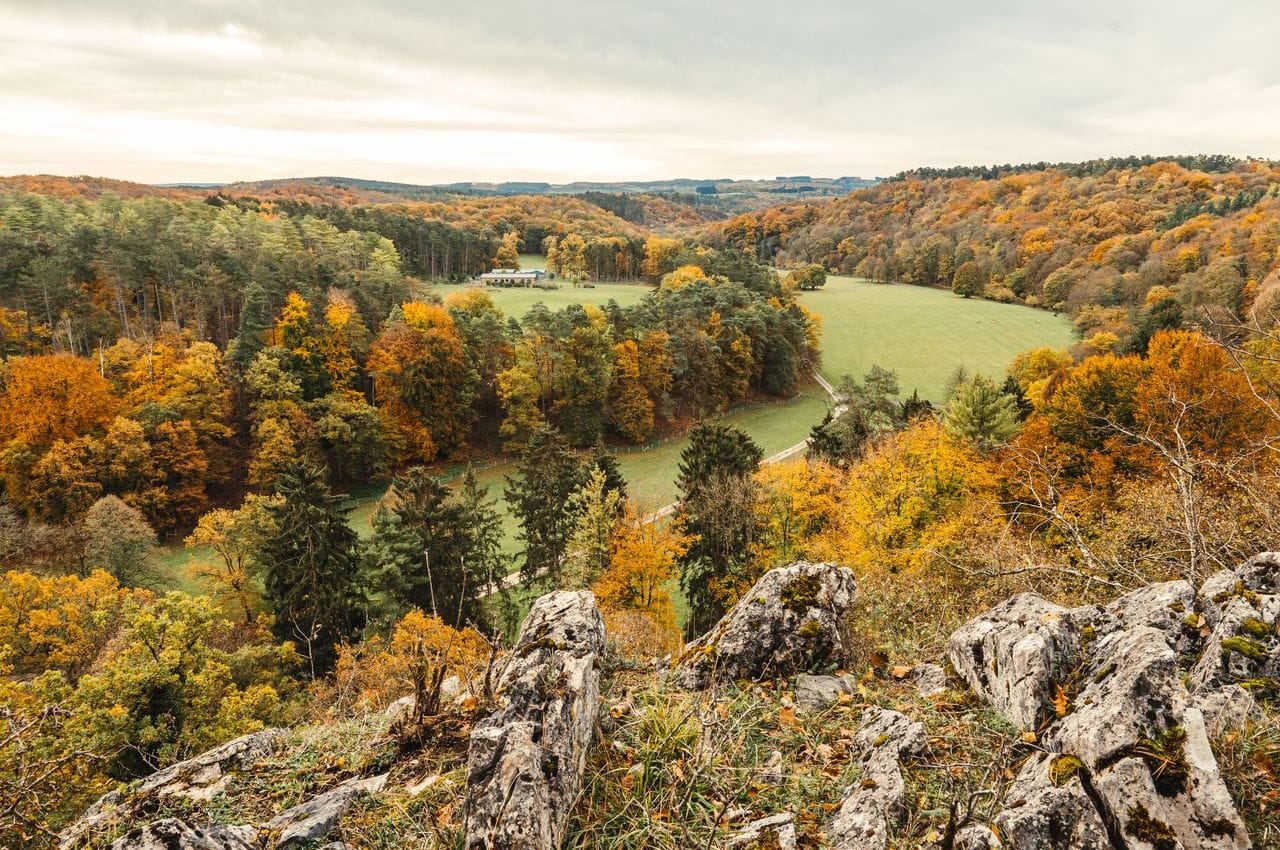activités pédagogiques extérieures à la découverte de la nature