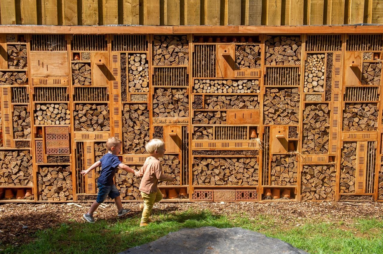 Séjour scolaire sportif en visitant le parc animalier à pied 