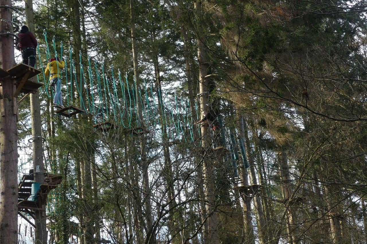 idée sortie fin d année scolaire, accrobranche Tree experience