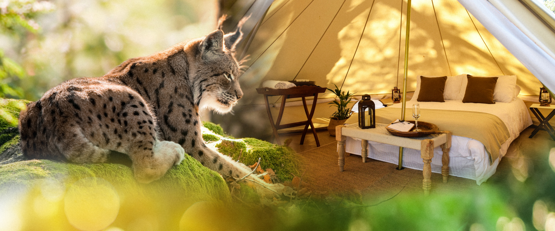 The Cocoon Village enjoy top notch glamping in our cosy Cocoon